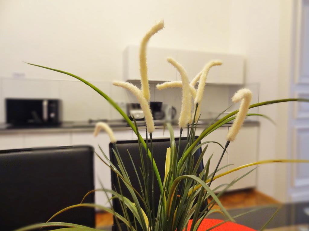 בודפשט Erzsebet Boulevard Apartment מראה חיצוני תמונה